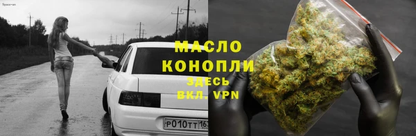 гидра Инсар