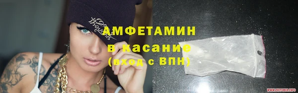 гидра Инсар