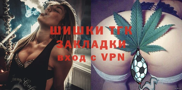 гидра Инсар