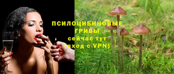 спайс Иннополис