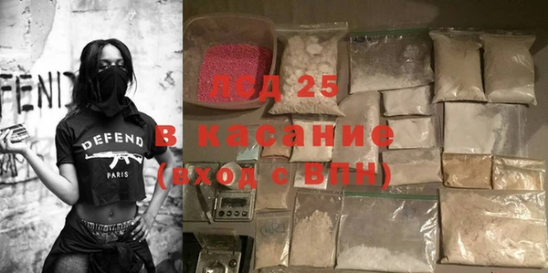 гидра Инсар
