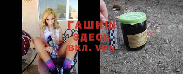 гидра Инсар