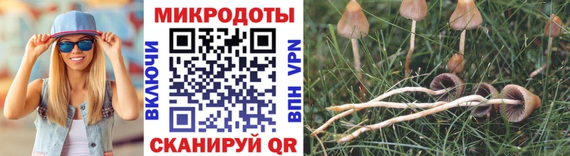 Купить  Моршанск  Галлюциногенные грибы мицелий 